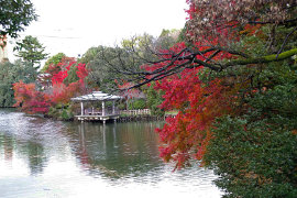 高岡古城公園の紅葉