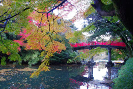 高岡古城公園の紅葉