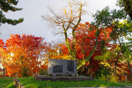 高岡古城公園の紅葉