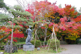 高岡古城公園の紅葉