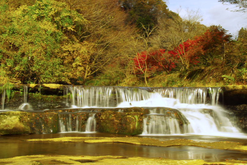 高岡古城公園の紅葉の画像