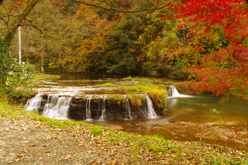 宮島峡の紅葉の画像