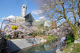 富山市役所展望塔