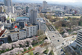 富山市役所展望塔