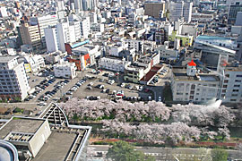 富山市役所展望塔