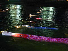 浅野川鯉流し水中ライトアップの画像