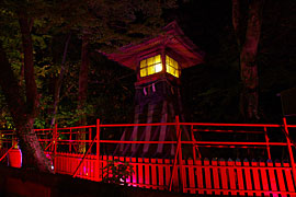 石浦神社のライトアップの画像