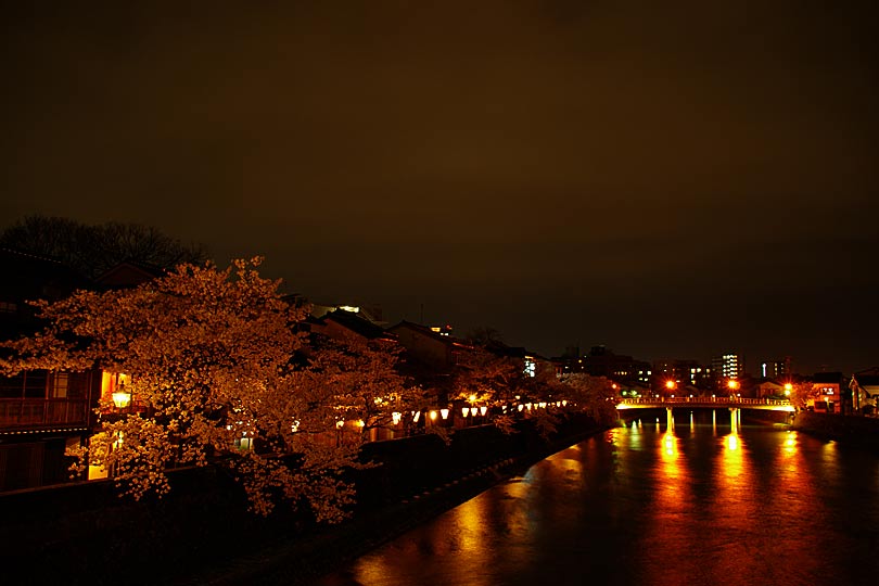 主計町茶屋街の桜の時期の夜景