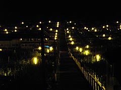 奥谷町梨園の防蛾灯の画像