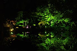 松風閣庭園のライトアップの画像