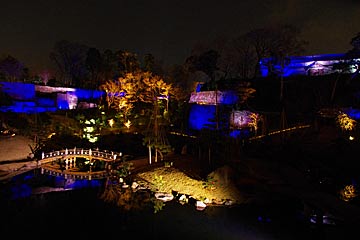 玉泉院丸庭園のライトアップ