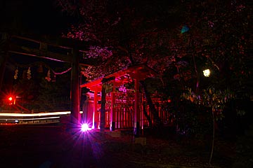 石浦神社のライトアップ