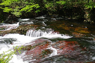 竹田川渓谷の赤岩のある急流